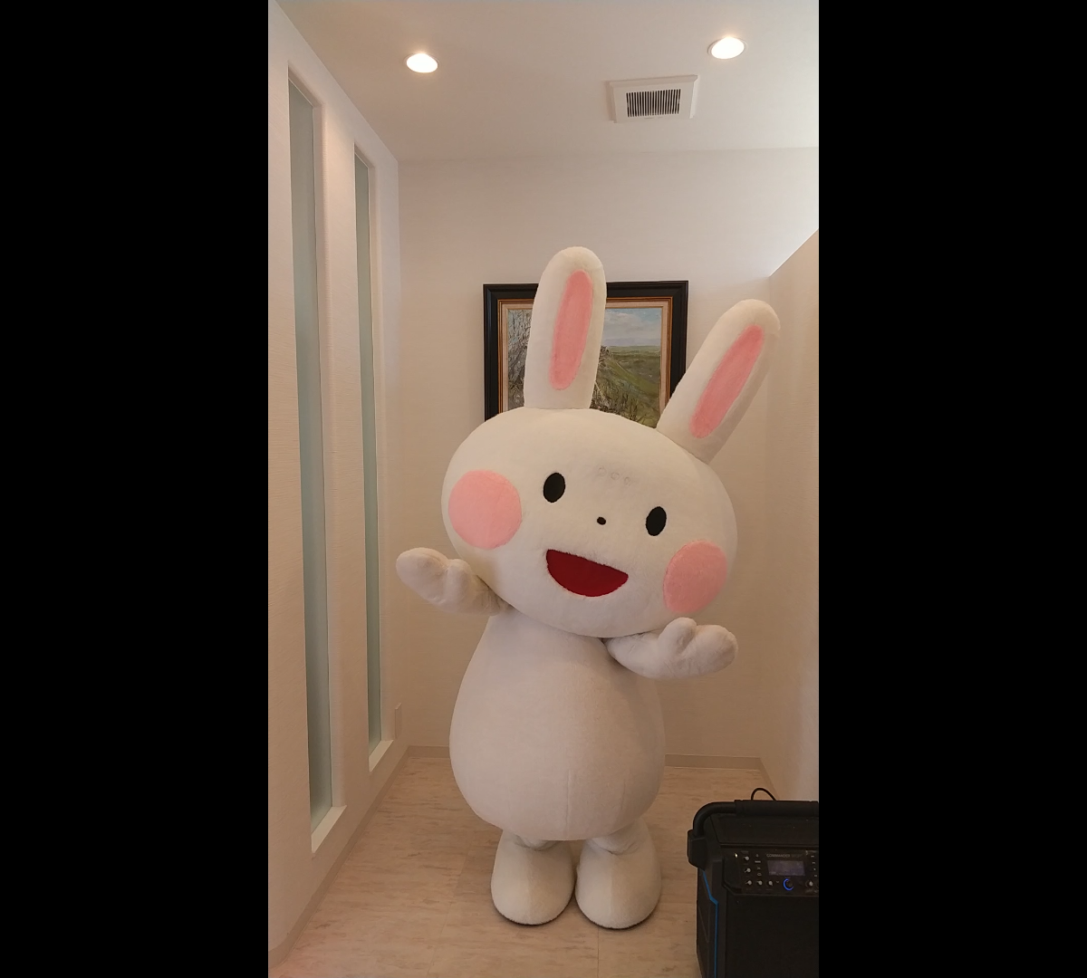 ウサギさんが来てくれました!
