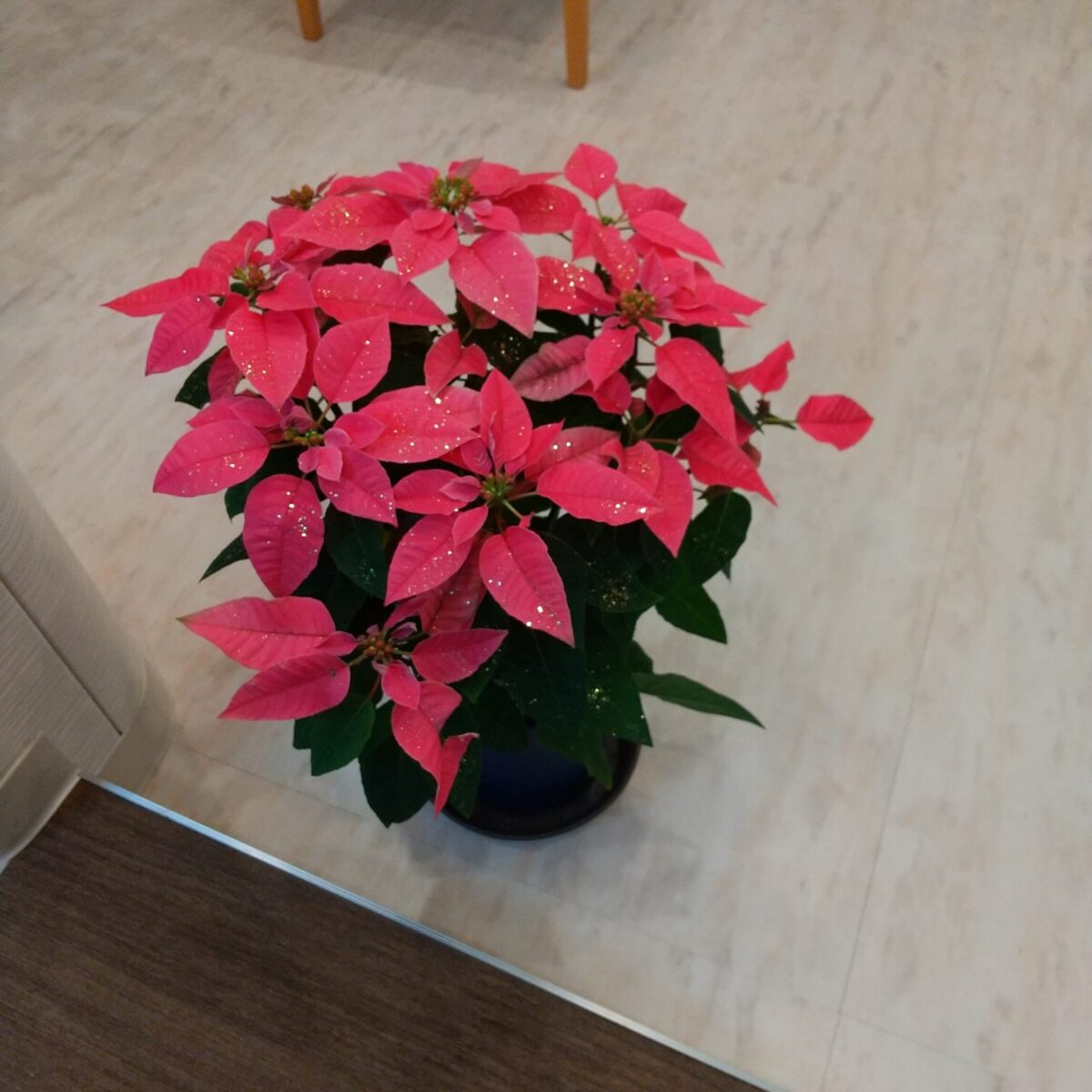 休診のお知らせ