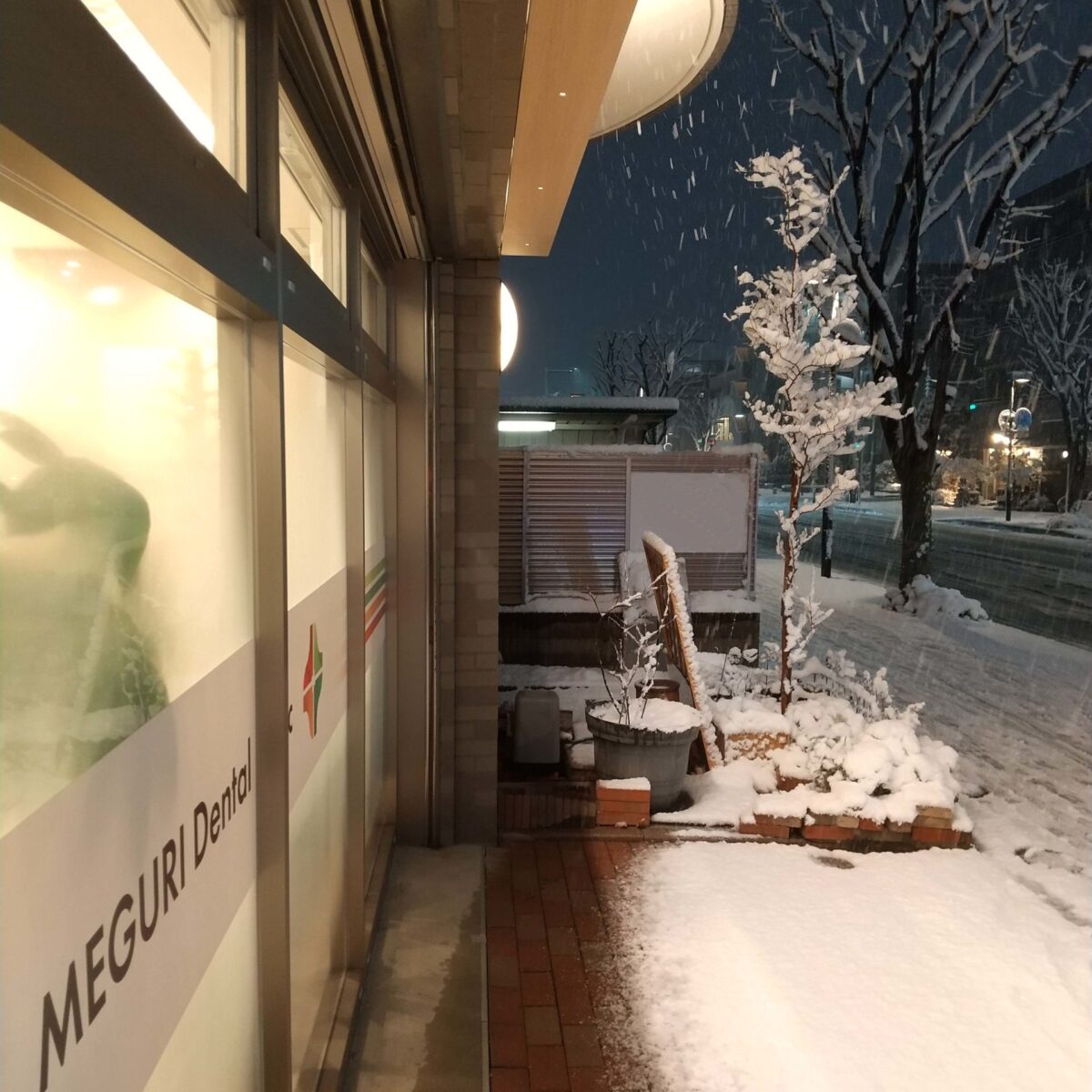 雪が降りました