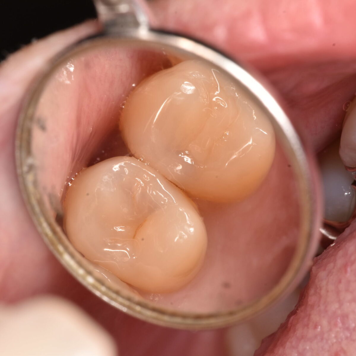 どこにあるのかわかりますか?13